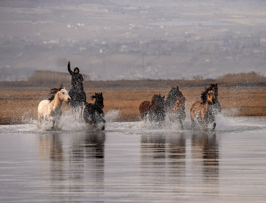 Gulistan-Doku-Sorusturmasinda-Isimsiz-Not-8220Rizvan-Suya-Atti8221-featured